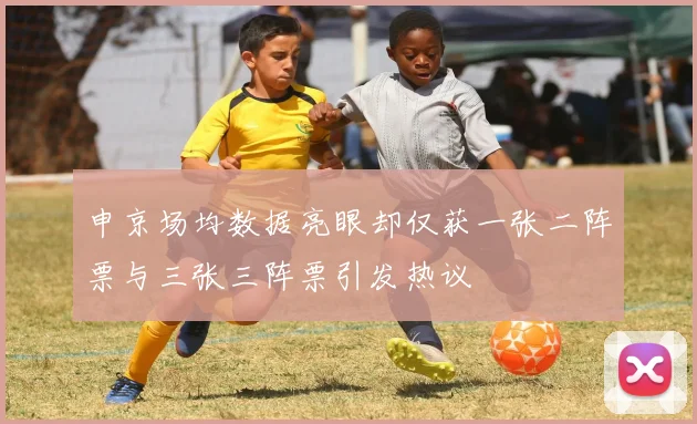 申京场均数据亮眼却仅获一张二阵票与三张三阵票引发热议